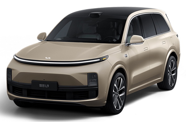 Двухслойные коврики EVA для LiXiang L9 (2022->)