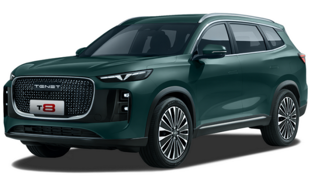 Автомобильные коврики EVA для TENET T8 3 ряда (2025->)